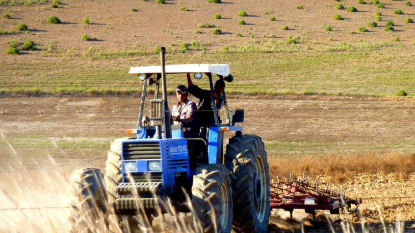 « Farm Attacks » en Afrique du Sud