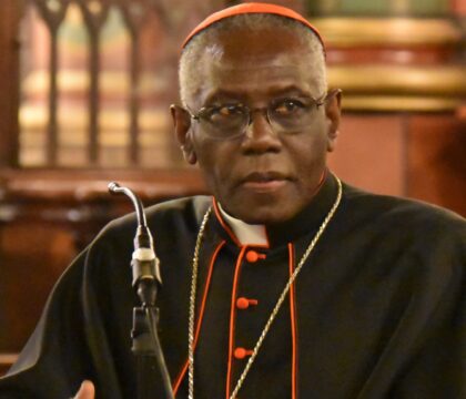 Qui pourrait être le successeur du cardinal Sarah?