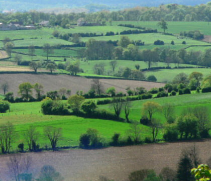 Marathon de plantations en Famenne