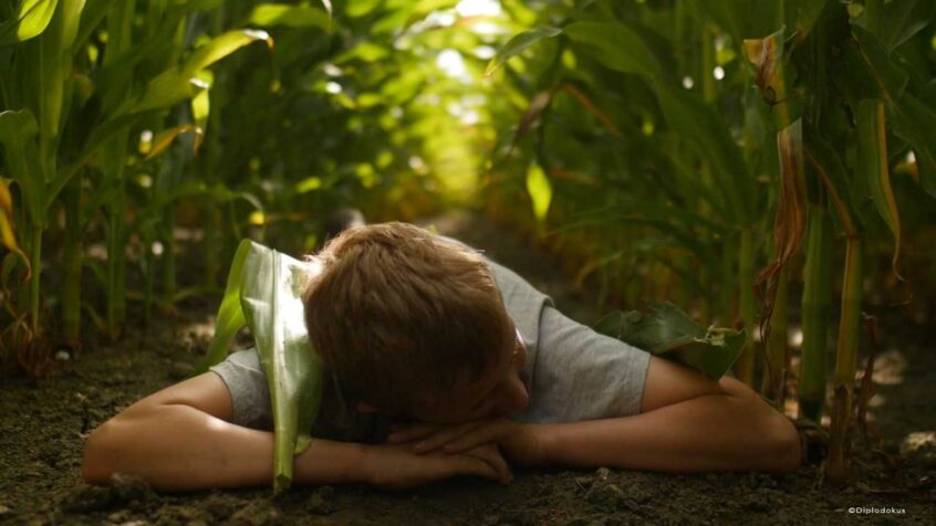 Cinéma – Vent d’air frais sur l’agriculture