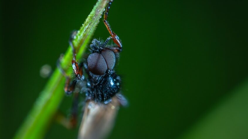 Environnement : se former avec Natagora