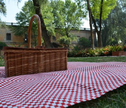 Parc Maximilien: un sit-nic et une plateforme en mouvement