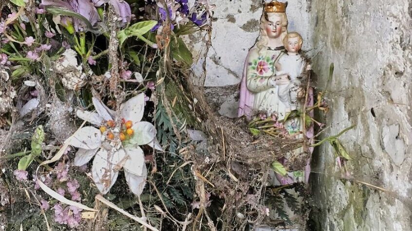 Exposition photo – Consolation de Melissa Decaire