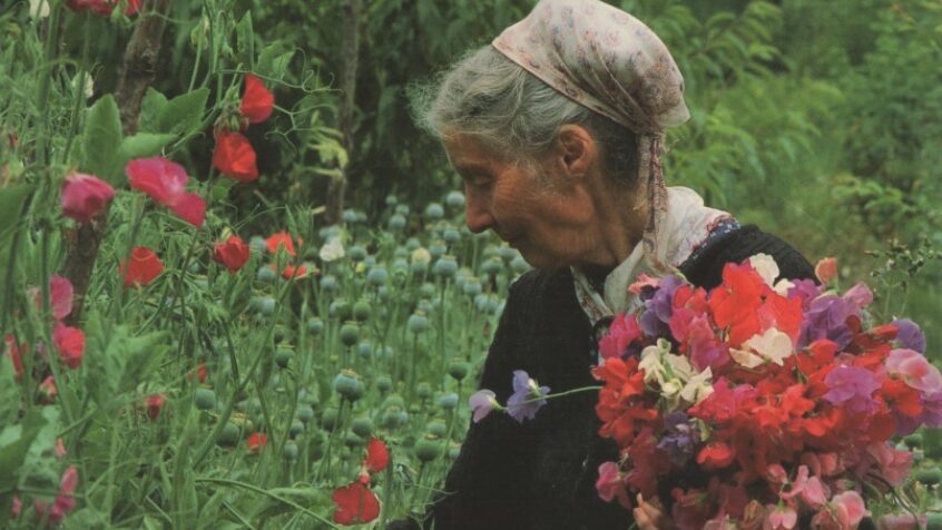 Fenêtre ouverte sur l&rsquo;univers bucolique de Tasha Tudor