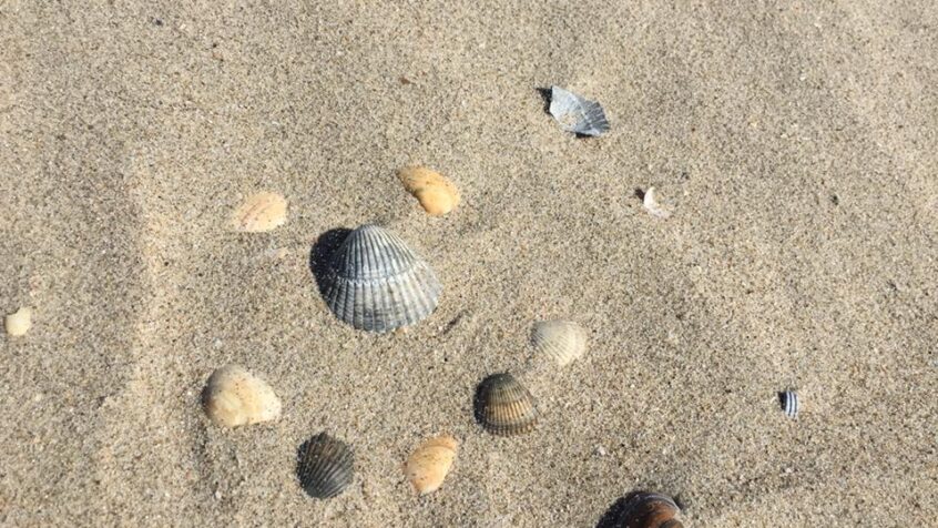 VACANCES: S&rsquo;émerveiller devant la Beauté de la Nature