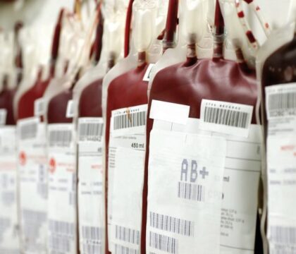 Croix-Rouge: jamais trop jeune pour découvrir le bénévolat