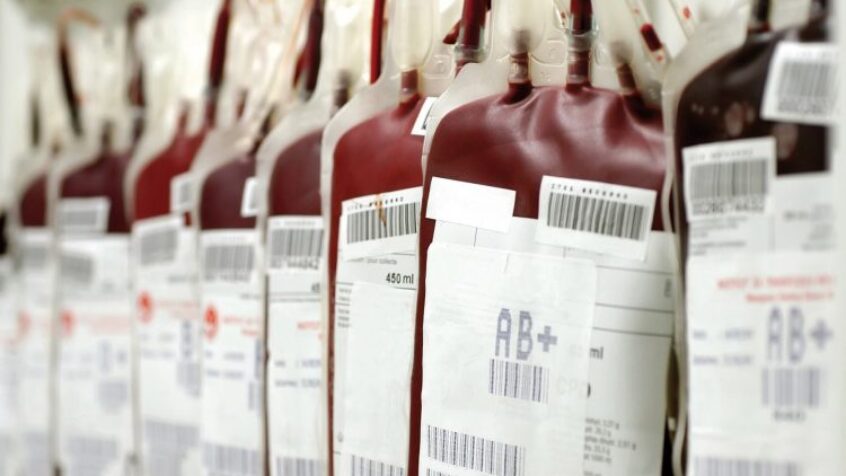 Croix-Rouge: jamais trop jeune pour découvrir le bénévolat