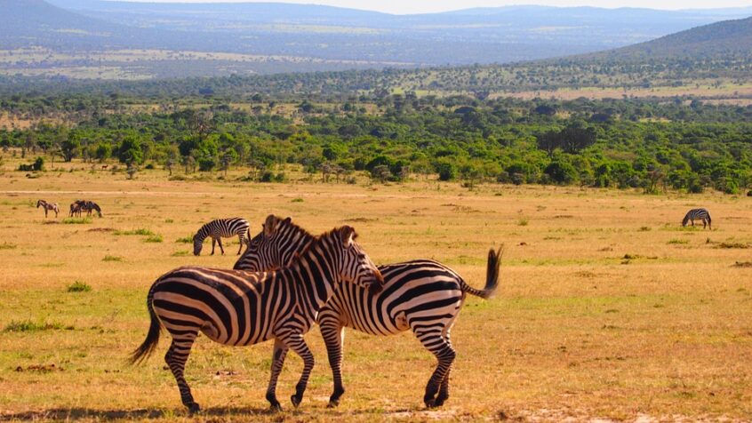 Kenya: les évêques soutiennent le processus de réconciliation