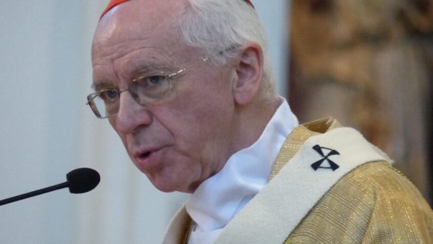 Te Deum: le cardinal De Kesel met en avant « notre humanité commune »