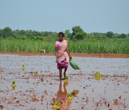 ONU: Journée Internationale pour la coopération Sud-Sud