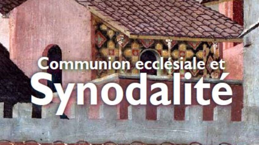 Le plaidoyer d&rsquo;Alphonse Borras pour la synodalité