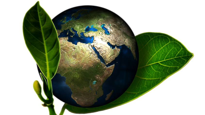 Un carême sous le signe de Laudato Si&rsquo;