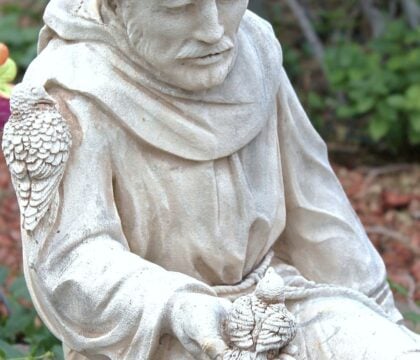 Pèlerinage à pied vers Assise : « Un chemin de paix, de rencontres, de fraternité avec la nature »