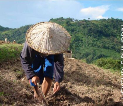 RADIO – Il était une foi… Aux Philippines, l&rsquo;avenir se cultive 