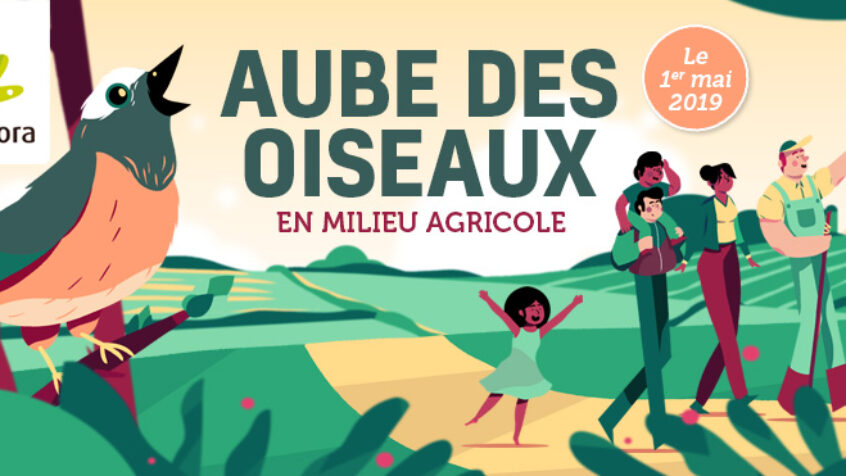 Natagora présente « L&rsquo;Aube des oiseaux » en milieu agricole