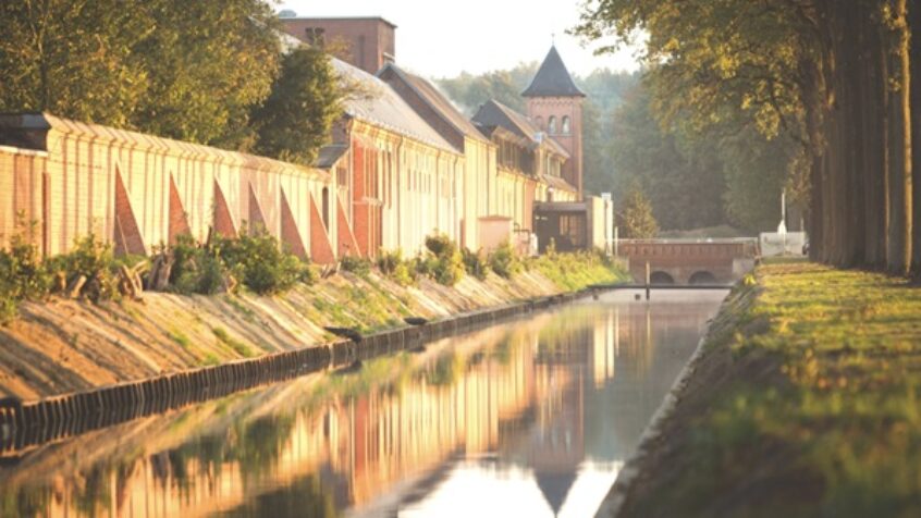 À l’abbaye de Westmalle, les moines trappistes brassent par charité !