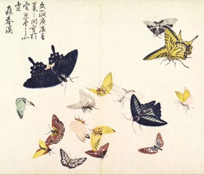 Art asiatique : des traits tout en finesse