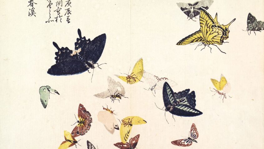 Art asiatique : des traits tout en finesse
