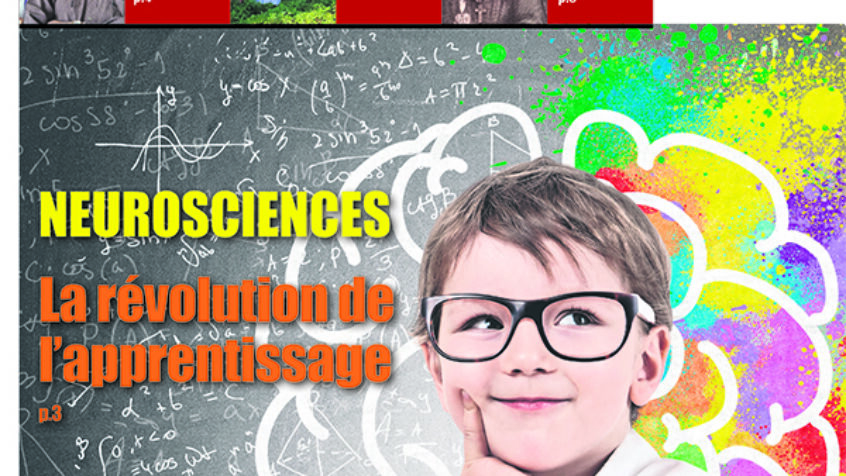 Sommaire du journal Dimanche n°29 du 25 août 2019