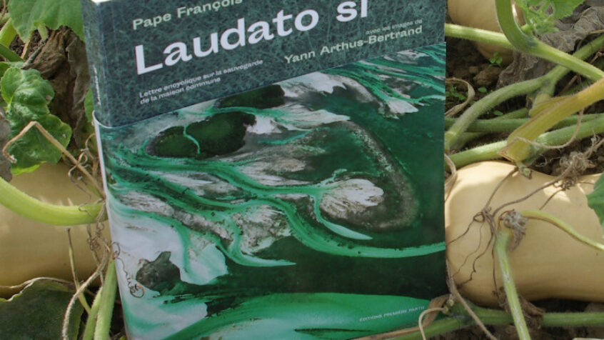 Une semaine de festivités pour conclure l’Année Laudato si’