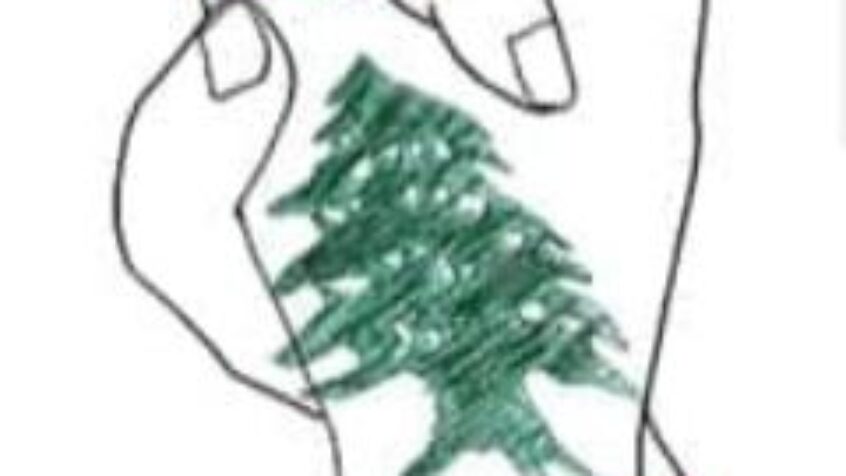 Solidarité avec le Liban en colère