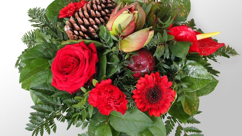 Les « fleurs » de Noël