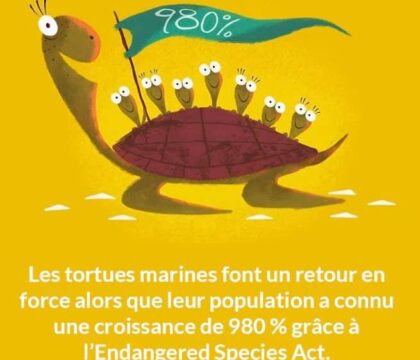 2019 … en positif!