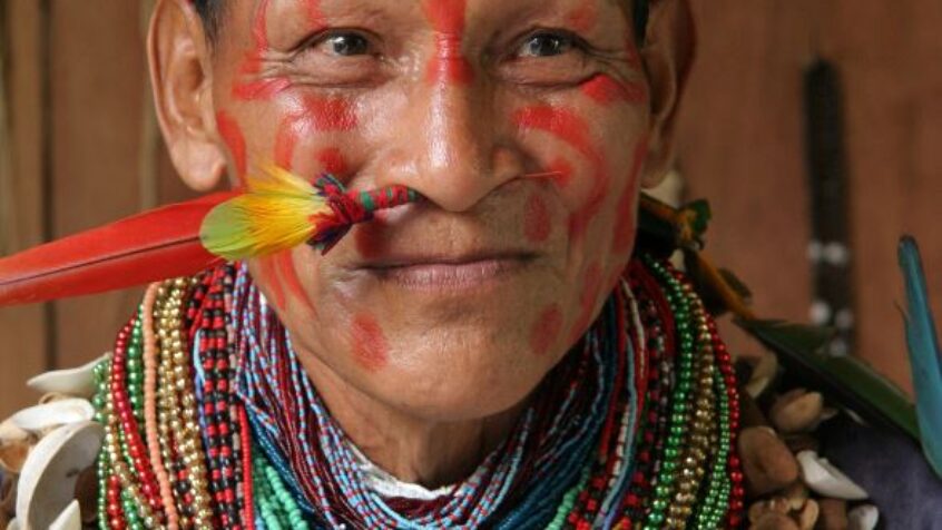 Une lettre d&rsquo;amour du pape à l&rsquo;Amazonie