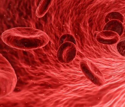 Journée mondiale du rein: lutter contre les maladies silencieuses