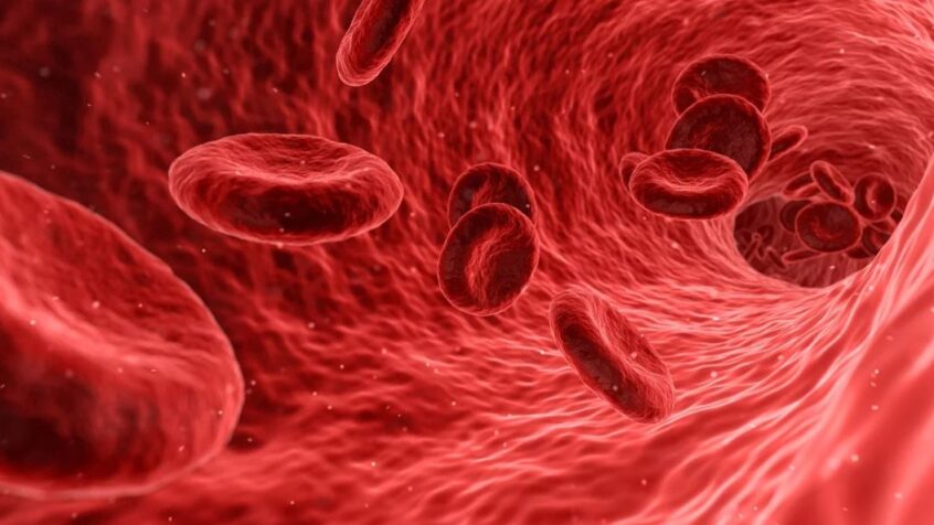 Journée mondiale du rein: lutter contre les maladies silencieuses