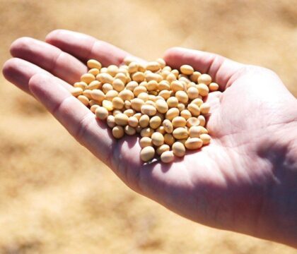 130 millions de personnes supplémentaires menacées par la faim dans le monde