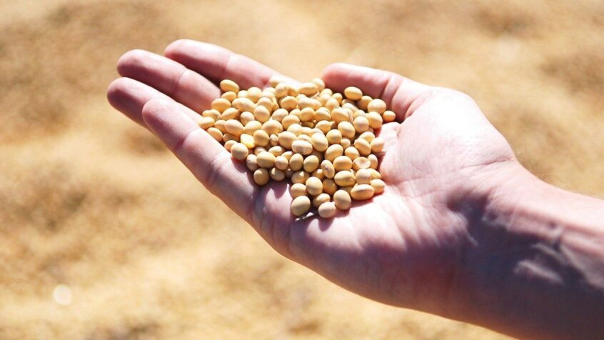 130 millions de personnes supplémentaires menacées par la faim dans le monde