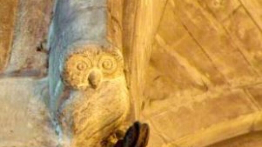 Concours-photo : le bestiaire dans les églises