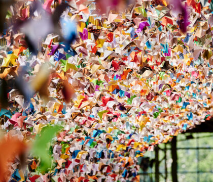 Des origamis pour faire avancer la recherche et la vie