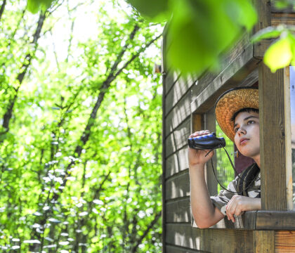 « Question d’enfant » –  Je peux reconstruire ma cabane chez toi ?
