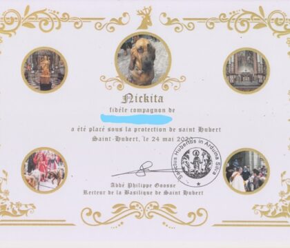 Saint Hubert: Une bénédiction pour protéger les animaux prononcée à distance