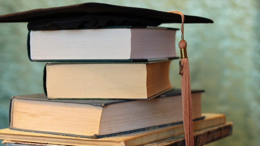 Quelles filières universitaires attirent le plus d&rsquo;étudiants?