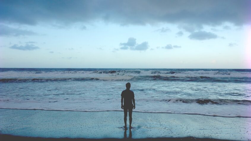 Audience générale: retrouver le sens de la contemplation pour soigner la création