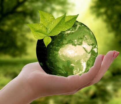 Le manifeste du pape François pour « sauver la biodiversité »