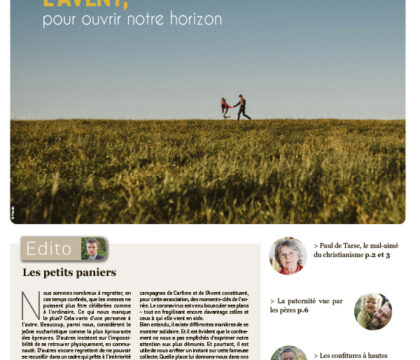 Sommaire du journal Dimanche n°43 du 29 novembre 2020