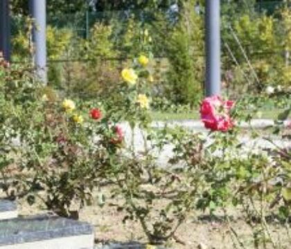 Leur mission au crématorium : faire résonner la Parole de Dieu