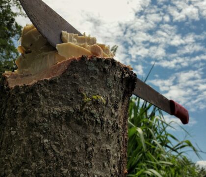Côte-d’Ivoire: les évêques dénoncent les violences électorales