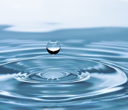 Le monde a soif de paix, estime le pape lors du Forum mondial de l&rsquo;Eau