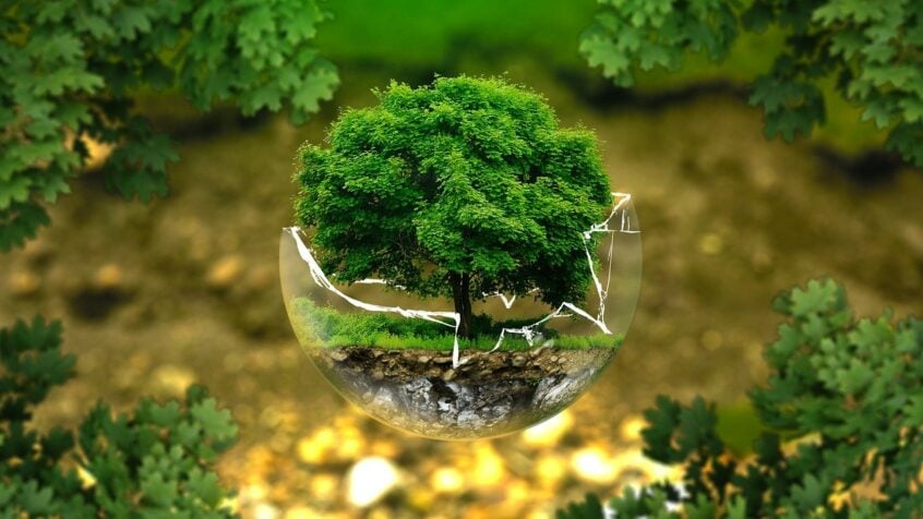 Quatre propositions alliant écologie intégrale et Carême