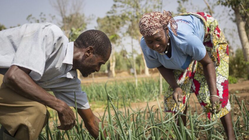 RADIO – Il était une foi… Soutenir l&rsquo;agriculture familiale avec Iles de Paix