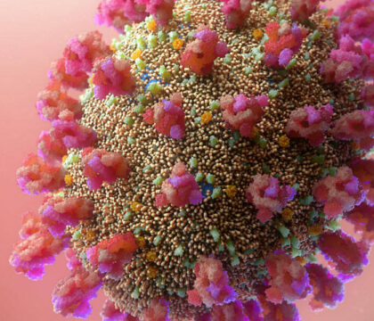 « Soyons des anticorps au virus de l’indifférence »