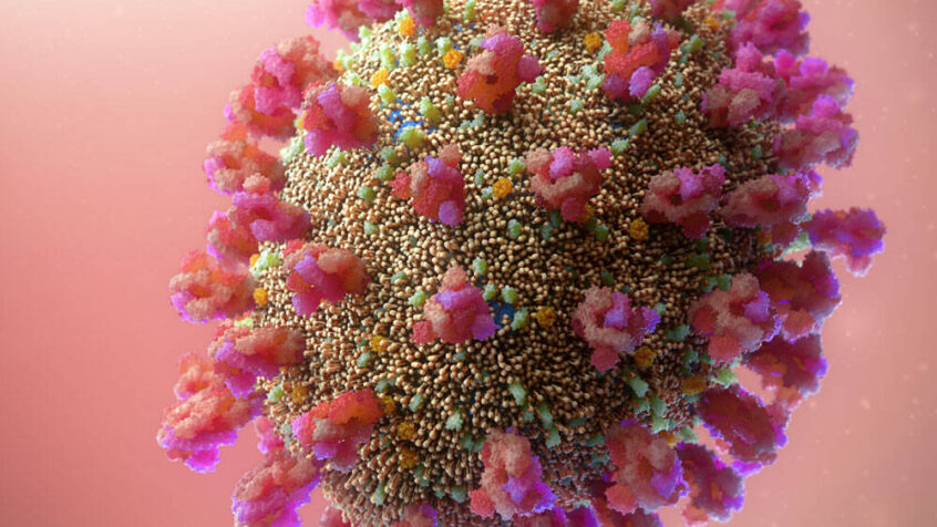 « Soyons des anticorps au virus de l’indifférence »