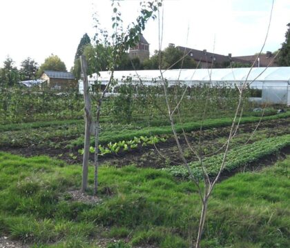 Sauvegarde de la création: Liège, un diocèse en transition