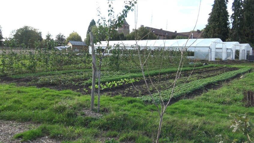 Sauvegarde de la création: Liège, un diocèse en transition