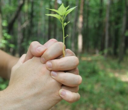Les jeunes chrétiens allient foi et écologie intégrale